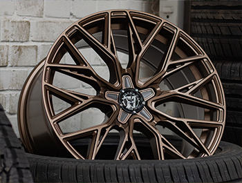 Wolfrace Wolfsburg GTR Racing Bronze 20